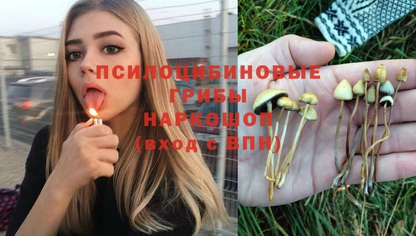 мдма Приозерск
