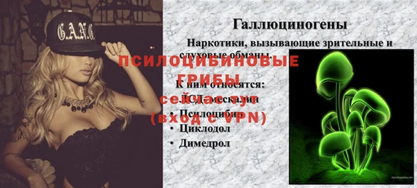 дмт Пролетарск