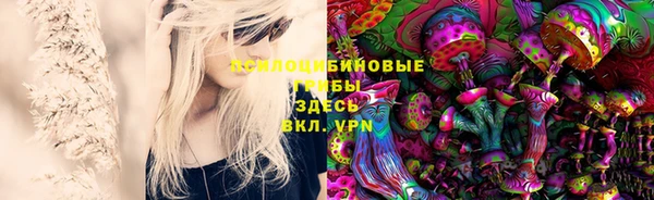 прущие грибы Данков